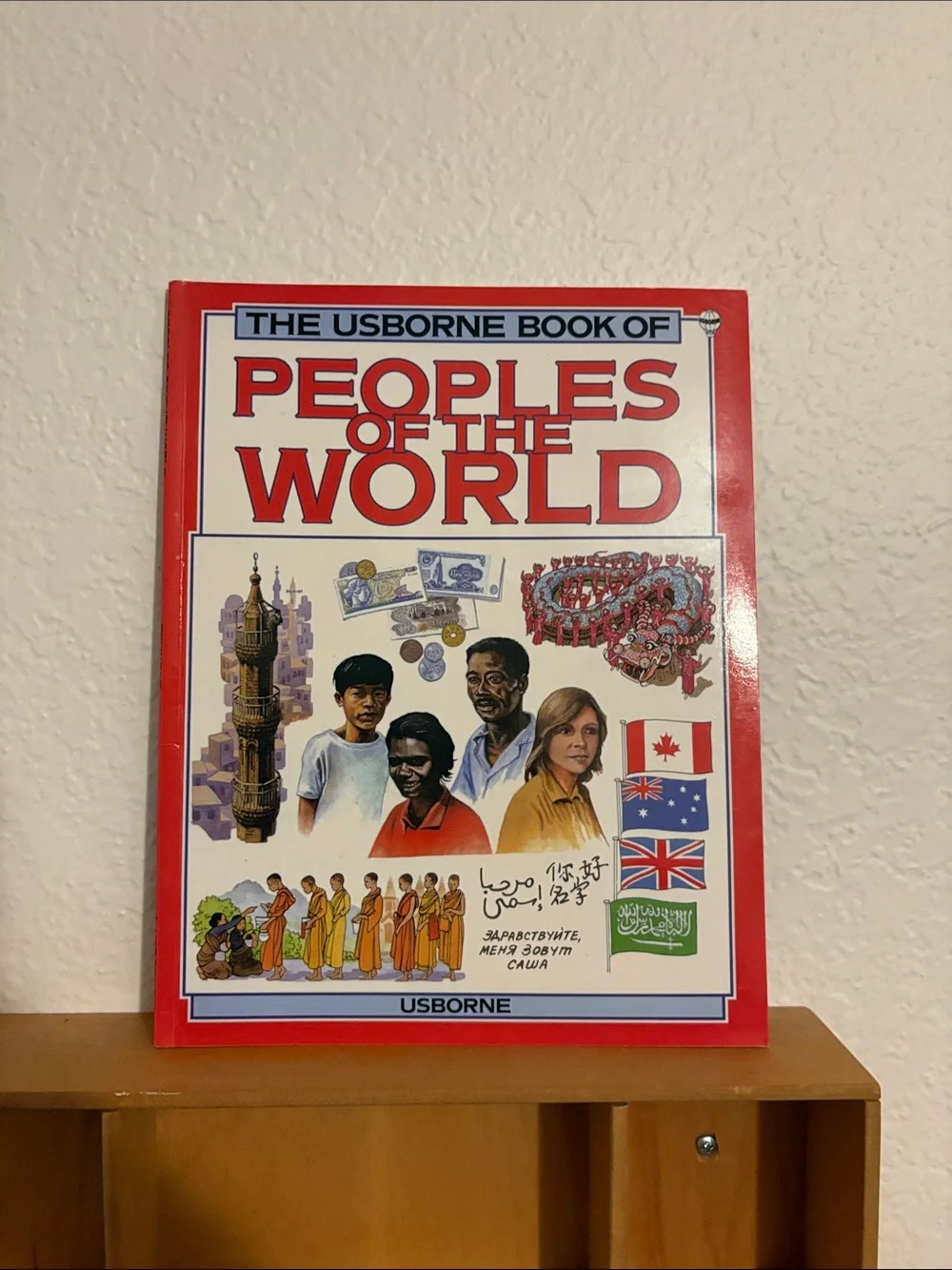 Vintage The Usborne Book of Peoples of the World | homeschool book